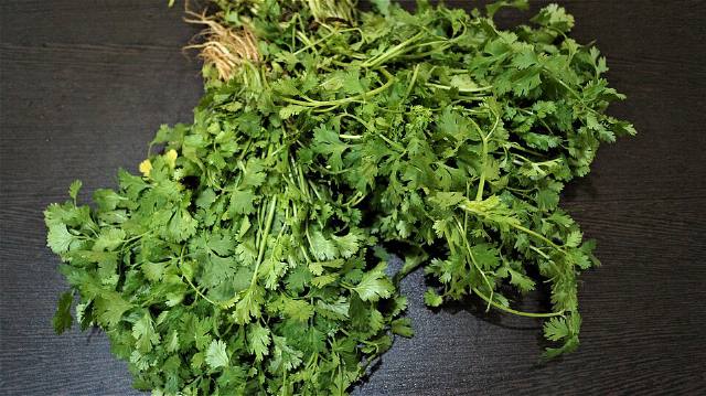 Coriander (Dhaniya)