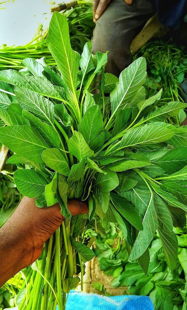 Palak (Spinach)